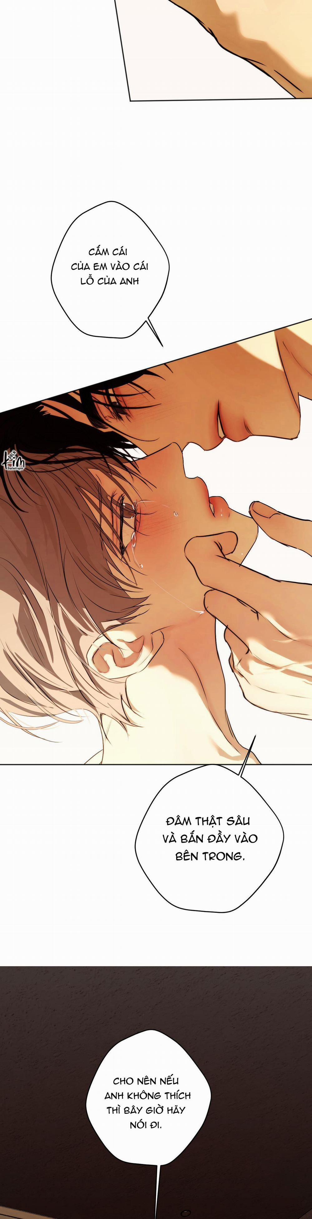 ÁI TÌNH VÀ DỤC VỌNG 39 trang 29