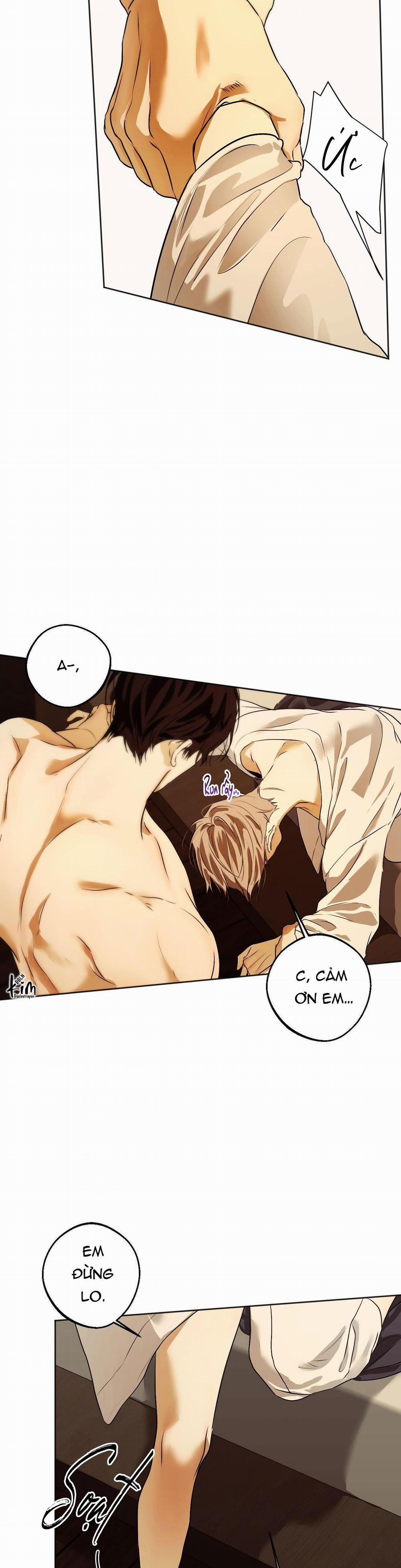 ÁI TÌNH VÀ DỤC VỌNG 39 trang 3