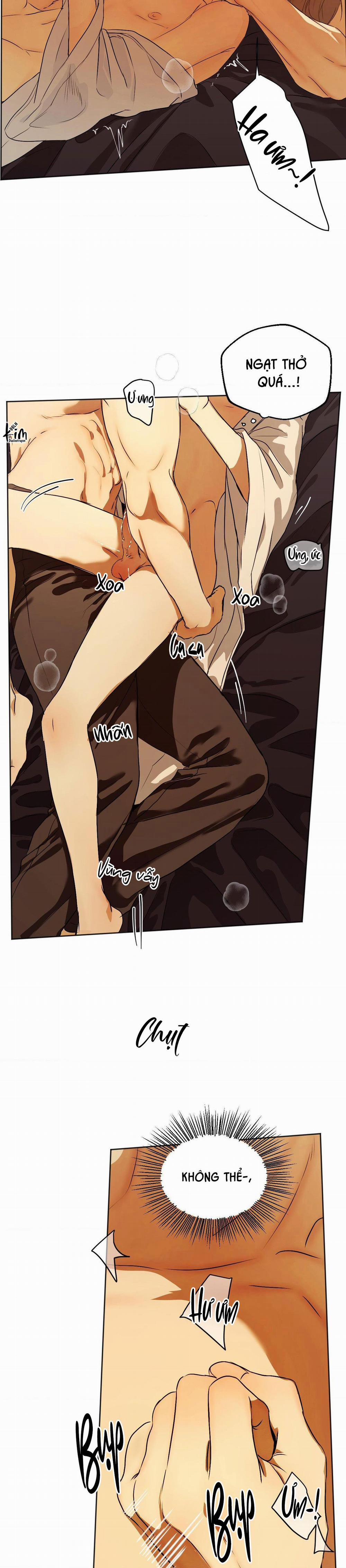 ÁI TÌNH VÀ DỤC VỌNG 40 H+++ full hd trang 4