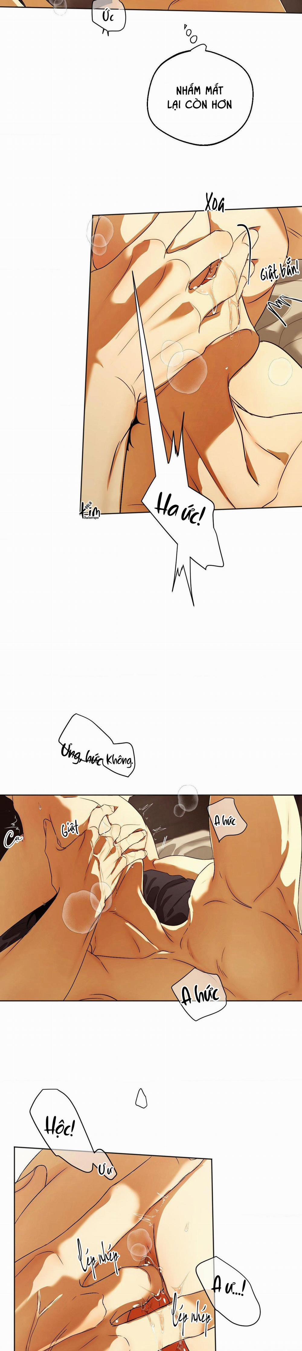 ÁI TÌNH VÀ DỤC VỌNG 40 trang 18