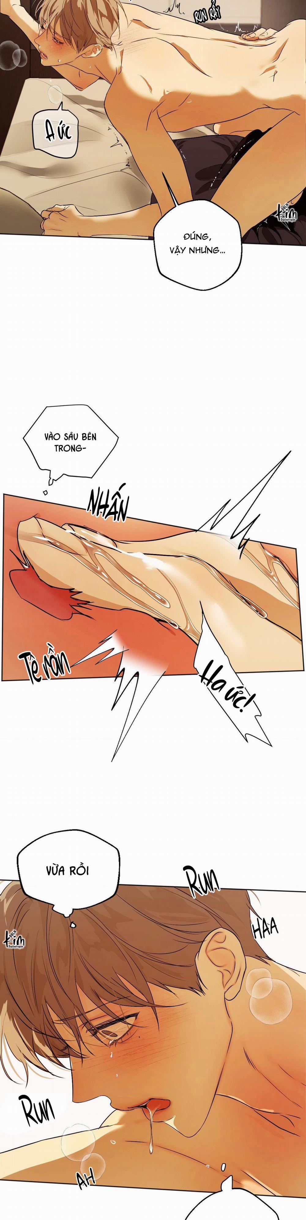 ÁI TÌNH VÀ DỤC VỌNG 40 trang 26