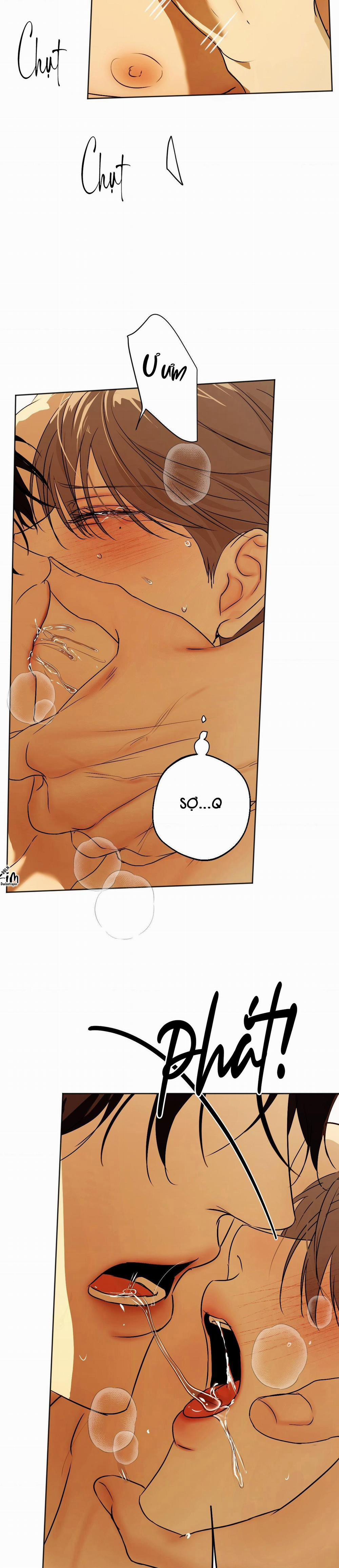 ÁI TÌNH VÀ DỤC VỌNG 40 trang 5