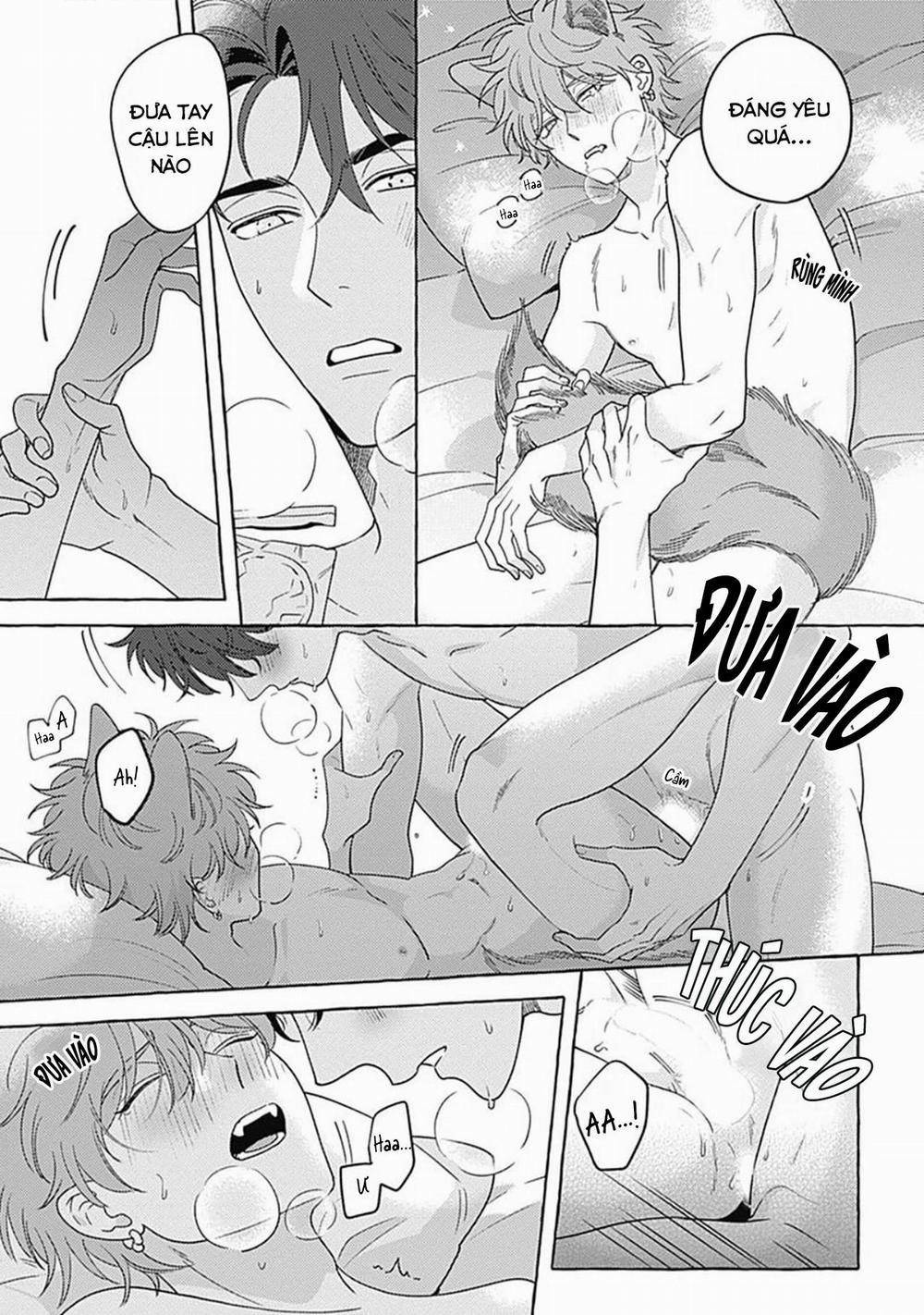 Aimai na Wolf (END) 5.5 END trang 9