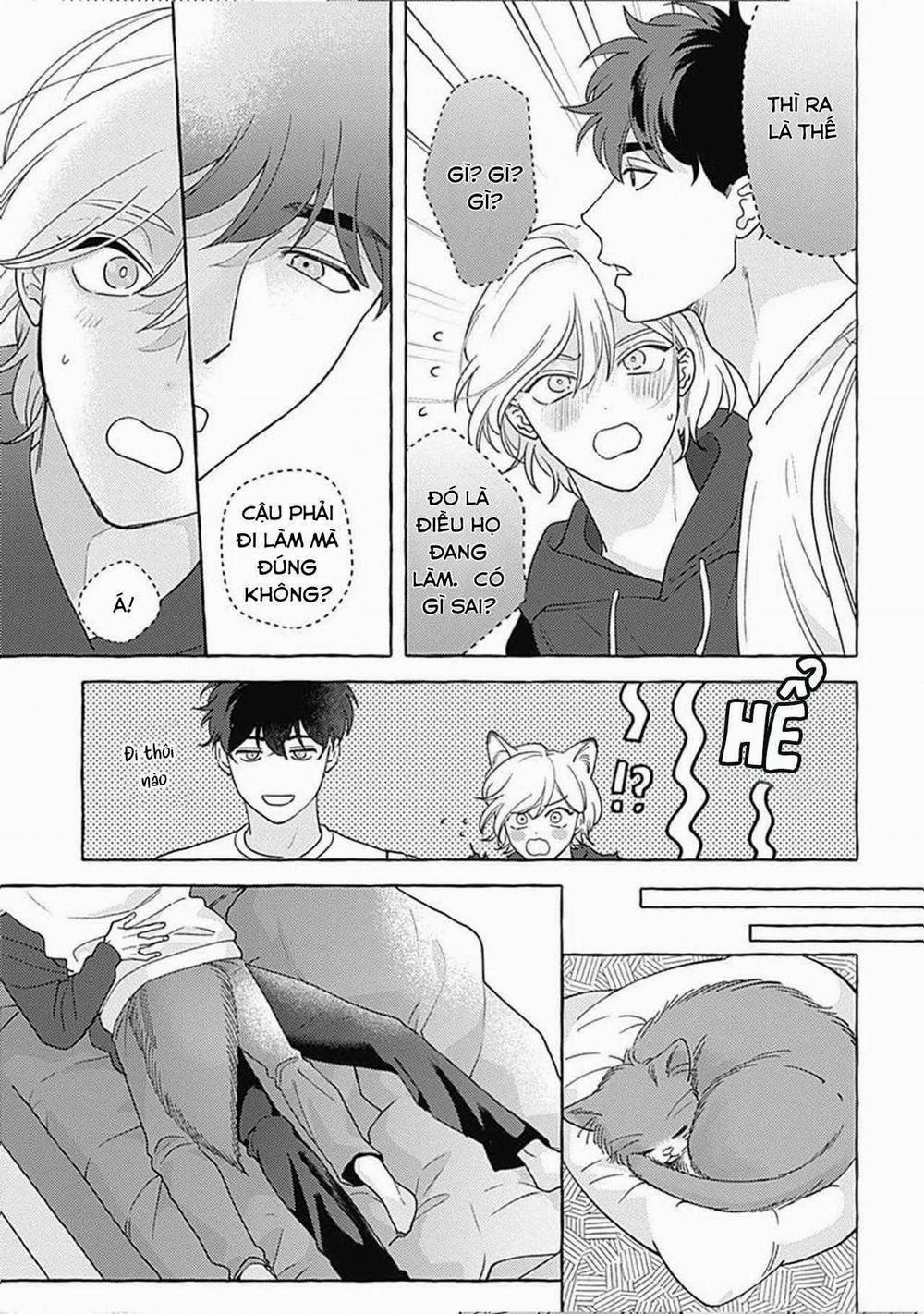 Aimai na Wolf 5.5 trang 16