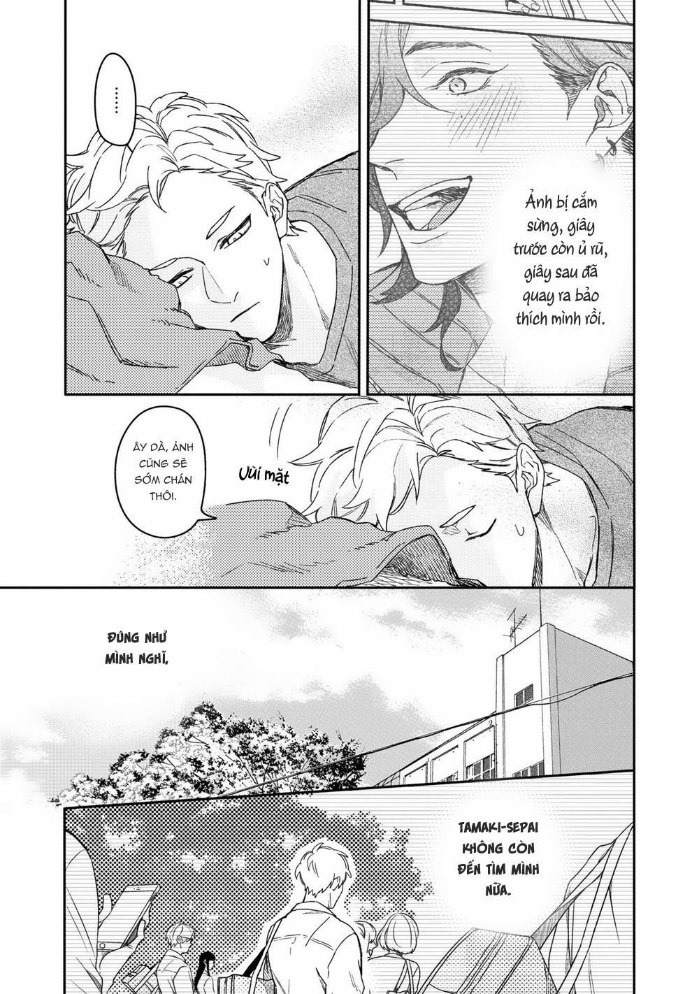 Aioi Focus 5 trang 15