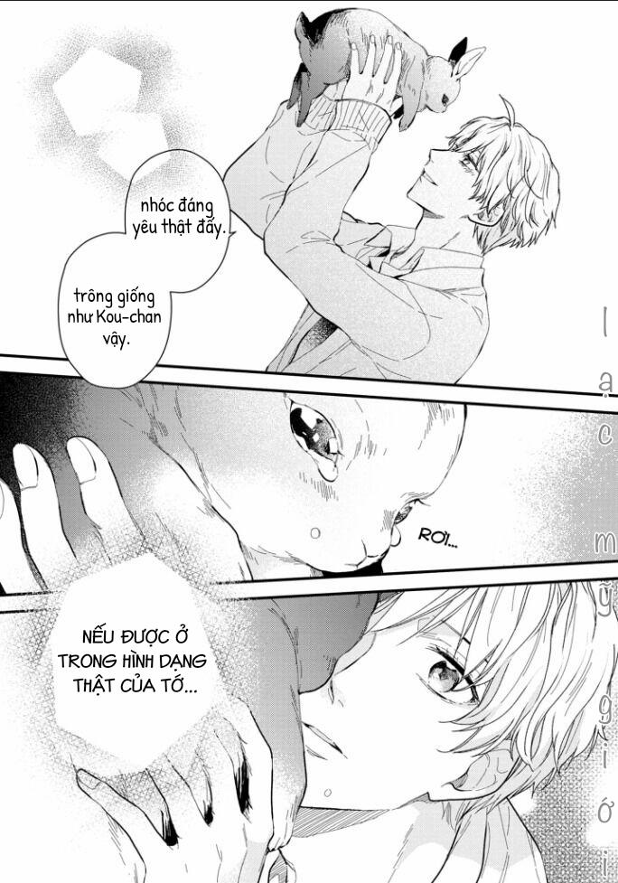 Aitai Jou To Usagi No Yamai 3 trang 22