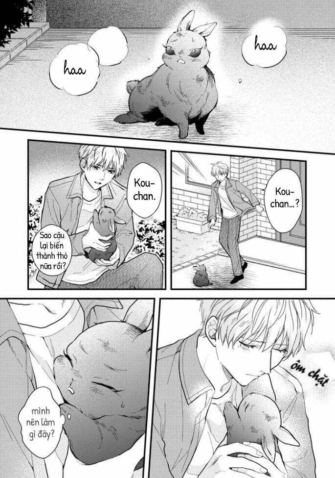 Aitai Jou To Usagi No Yamai 4 trang 30