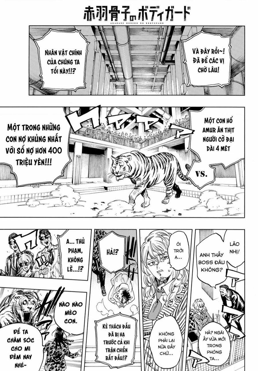 Akabane Honeko No Bodyguard 12 trang 4