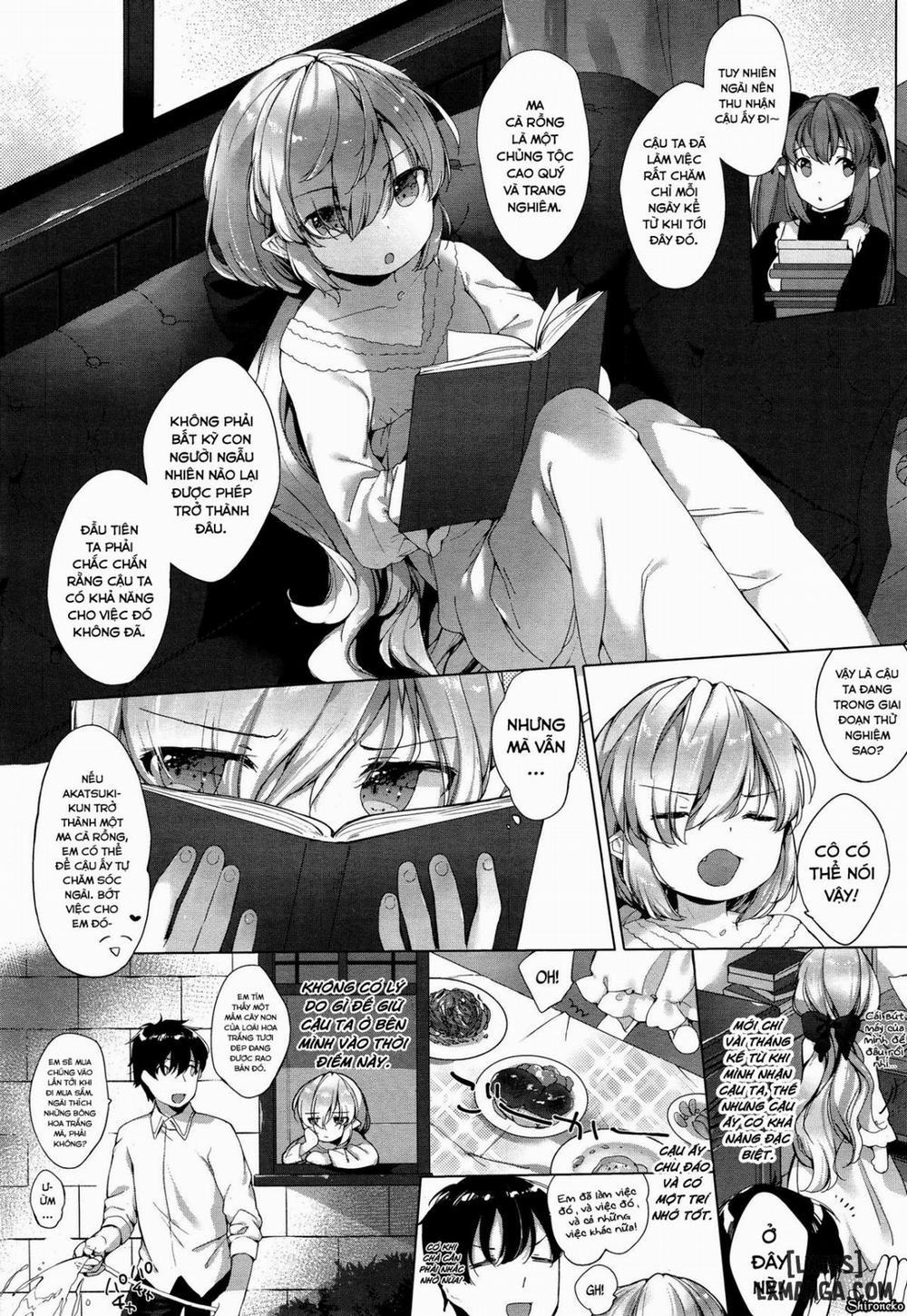 Akai Mi Hajiketa Oneshot trang 3