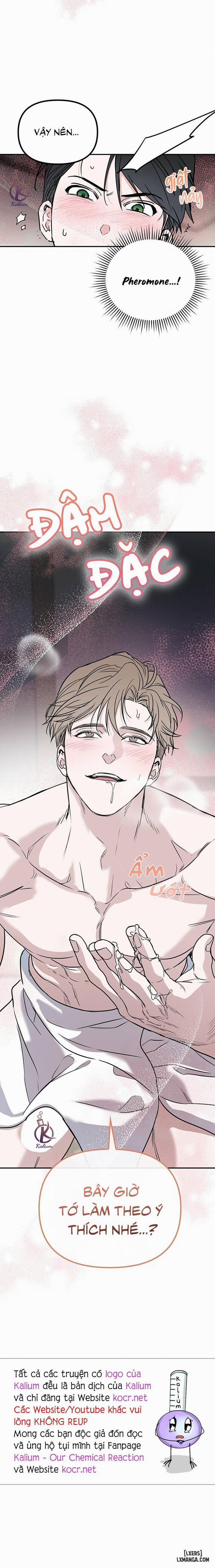 Alpha không hoàn trả 1 trang 16