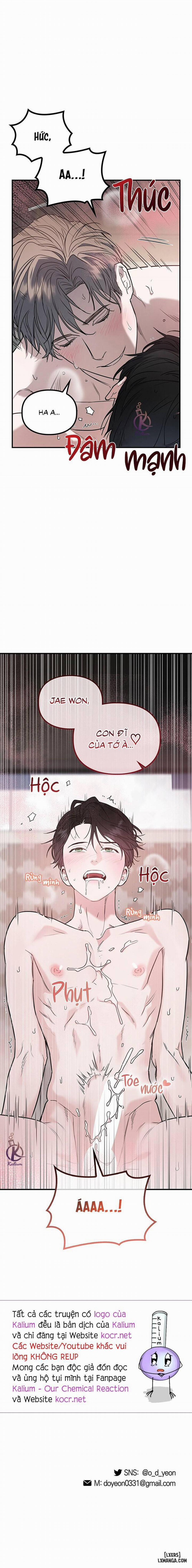 Alpha không hoàn trả 2 trang 13