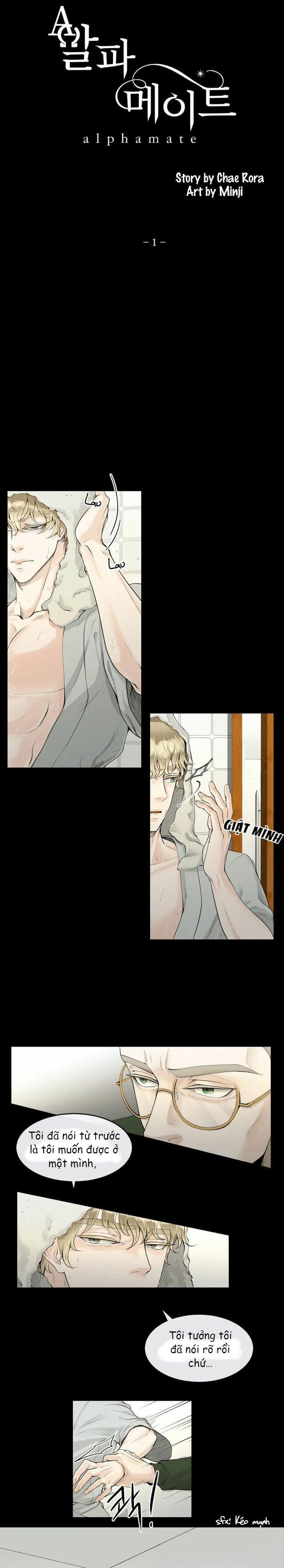 Alpha Mate 1 trang 12