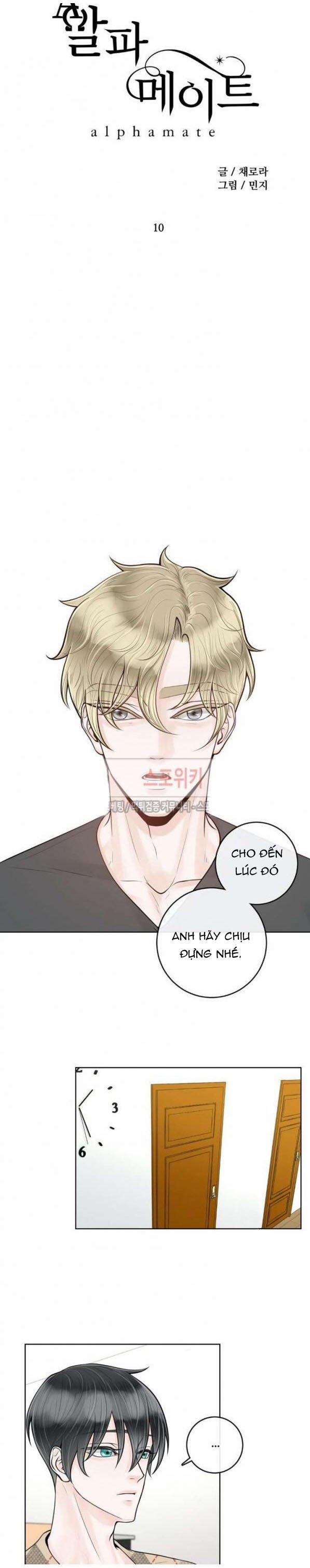Alpha Mate 10 trang 12