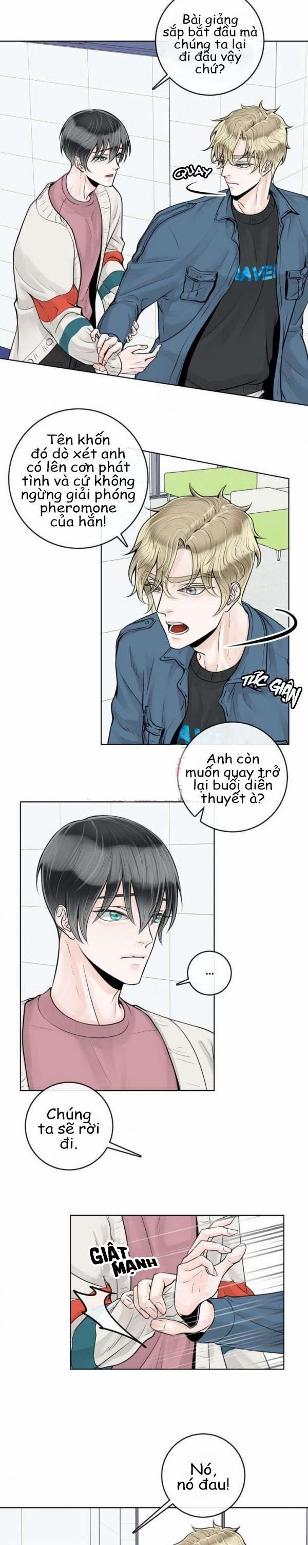 Alpha Mate 11 trang 11