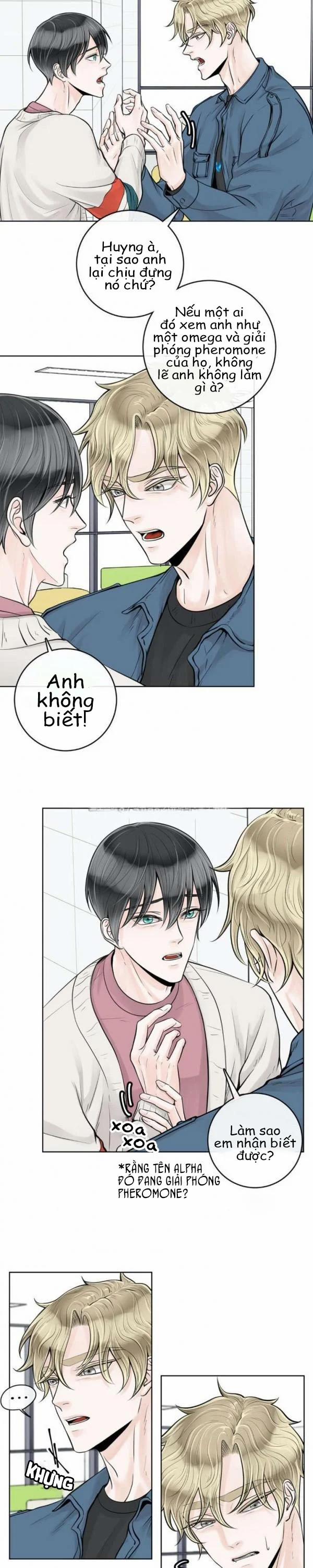 Alpha Mate 11 trang 12