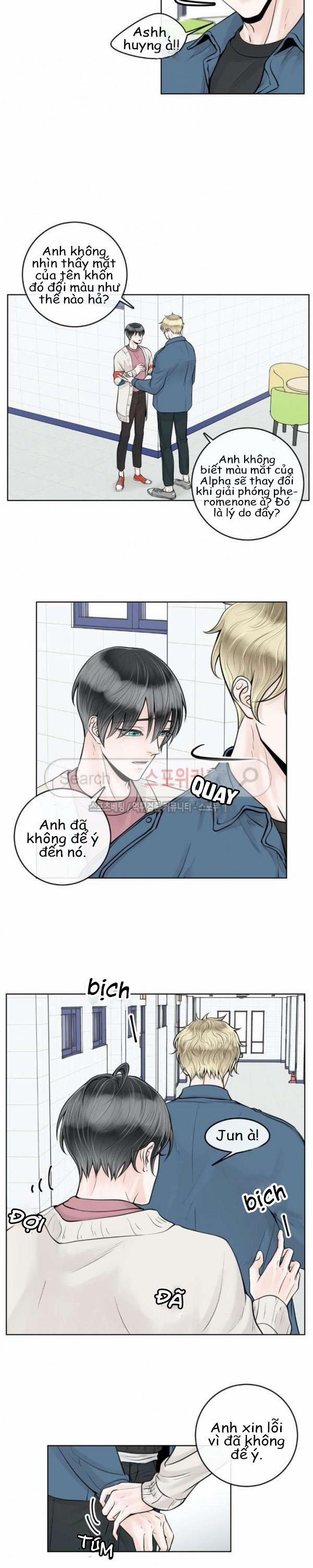 Alpha Mate 11 trang 13