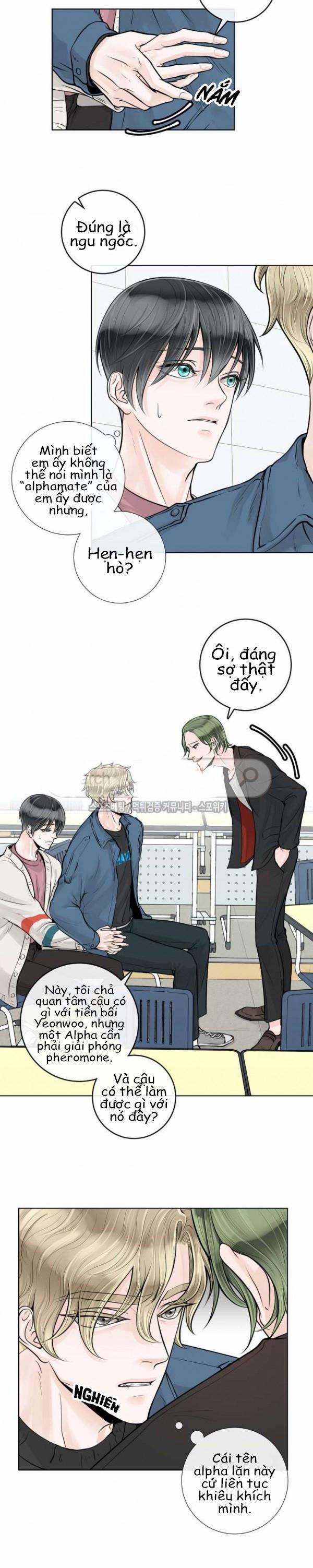 Alpha Mate 11 trang 6