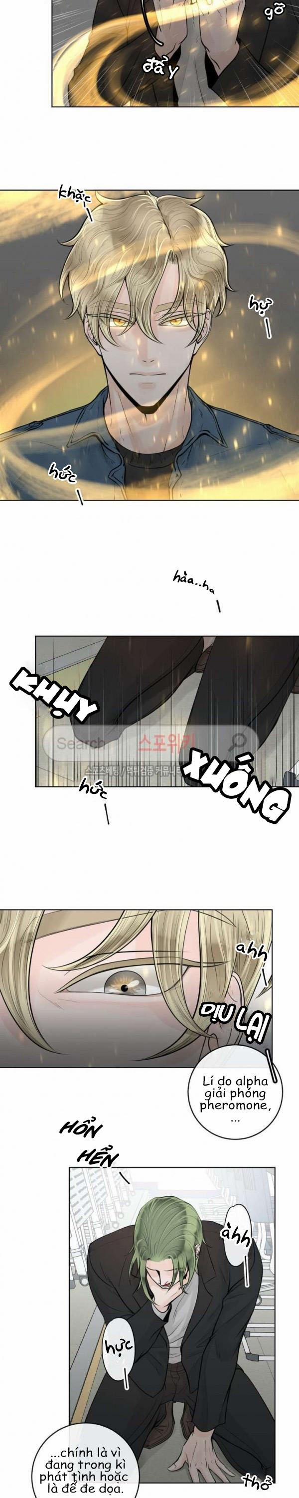 Alpha Mate 11 trang 8
