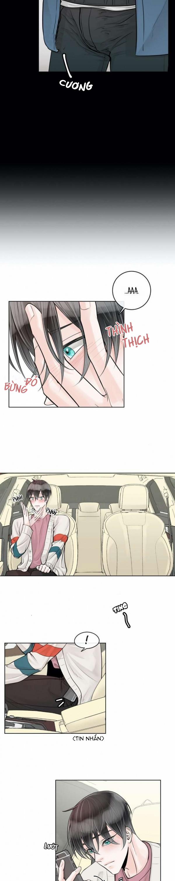 Alpha Mate 12 trang 12