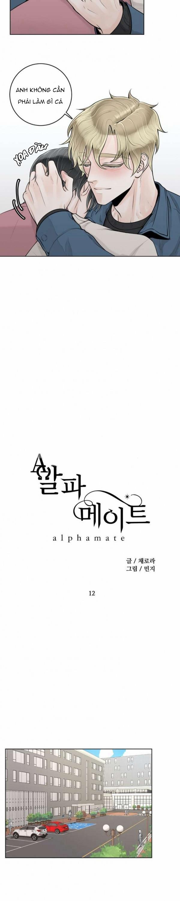 Alpha Mate 12 trang 9