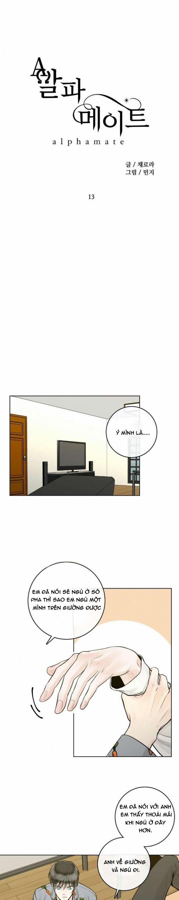 Alpha Mate 13 trang 12
