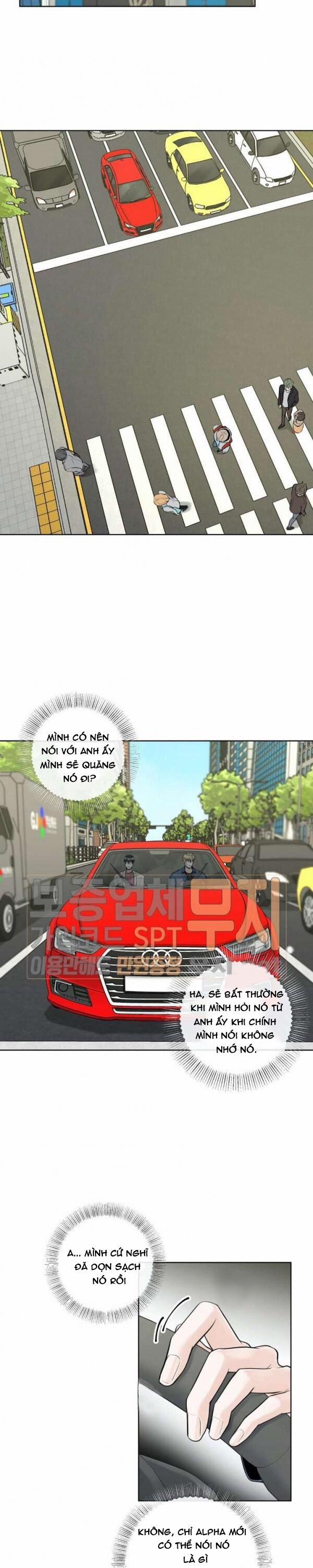 Alpha Mate 13 trang 8
