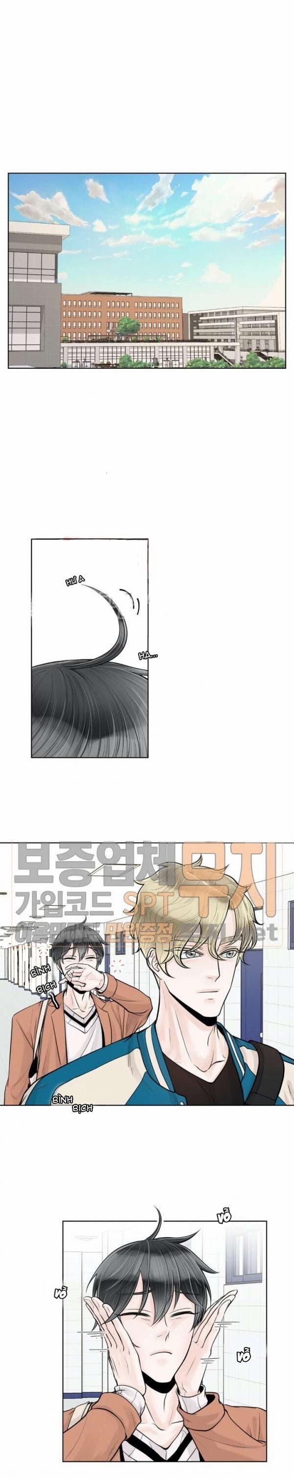 Alpha Mate 14 trang 0