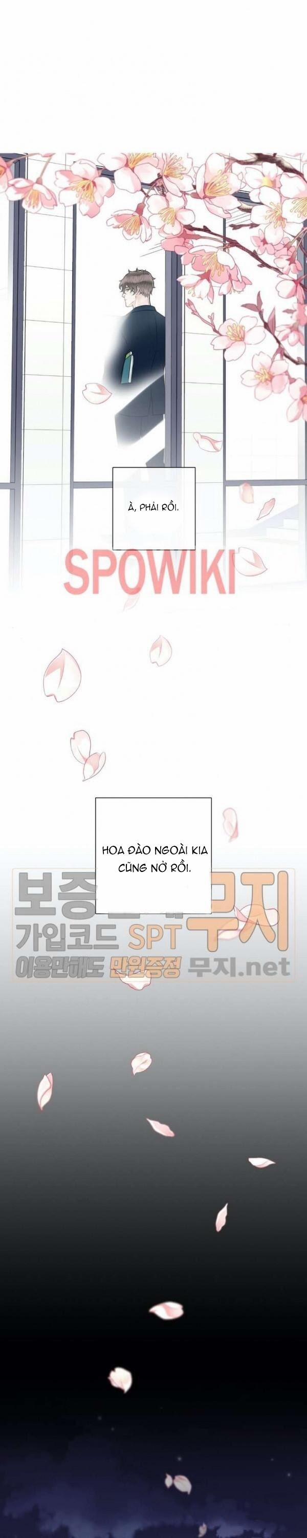 Alpha Mate 14 trang 11