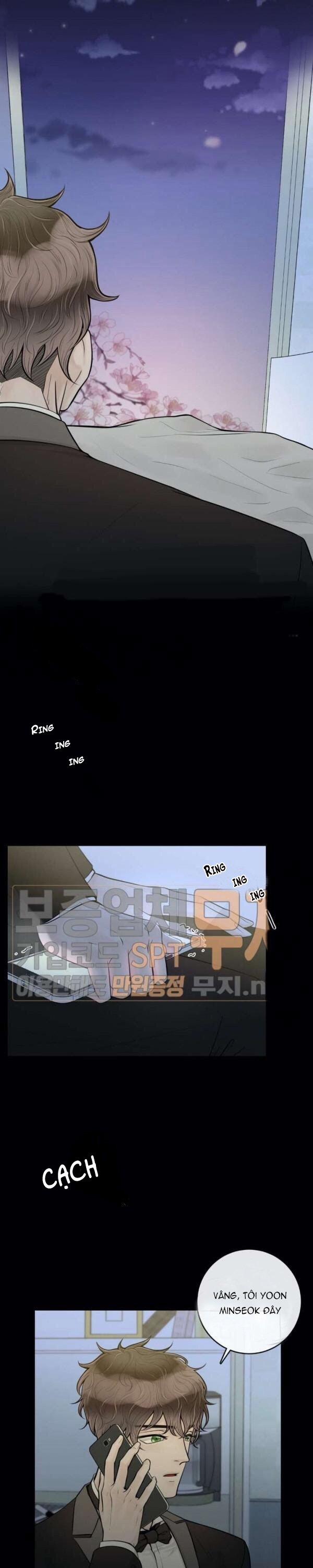 Alpha Mate 14 trang 12