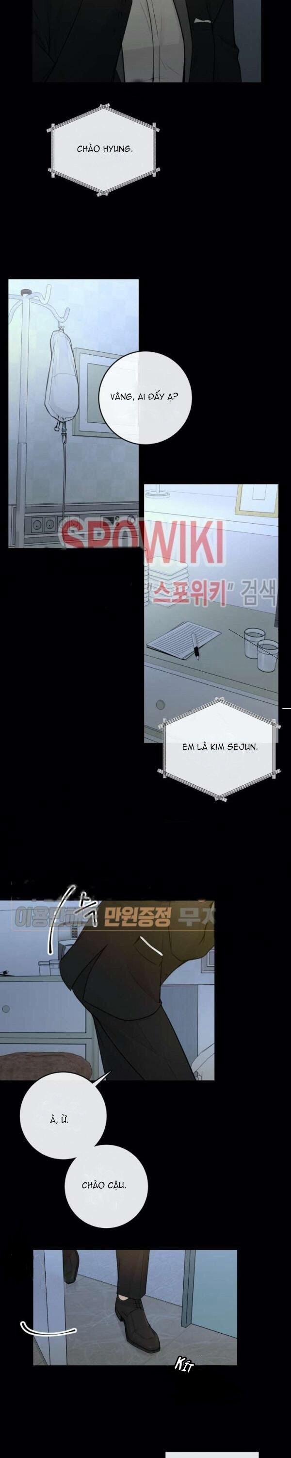 Alpha Mate 14 trang 13