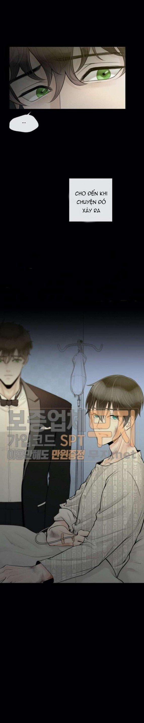 Alpha Mate 14 trang 17