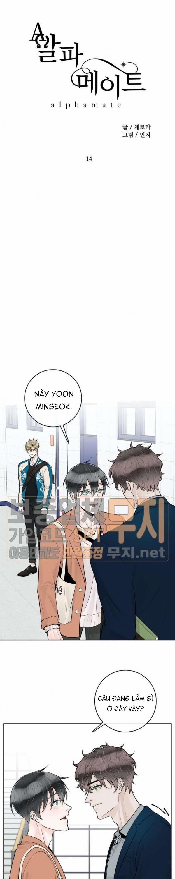 Alpha Mate 14 trang 9