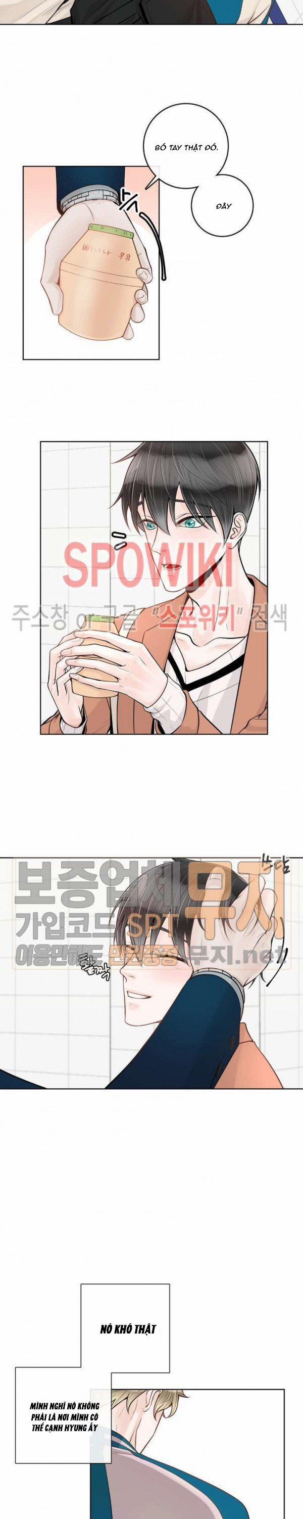 Alpha Mate 15 trang 19