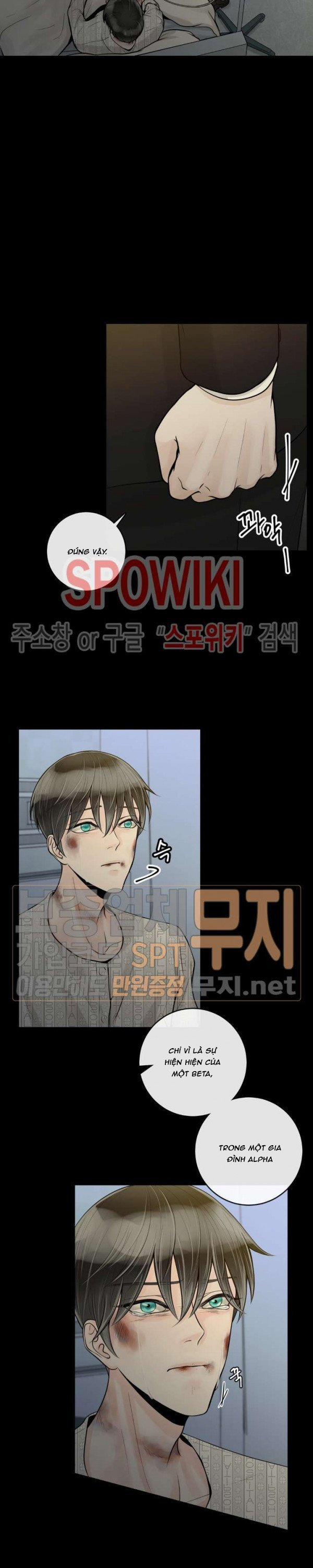 Alpha Mate 15 trang 2