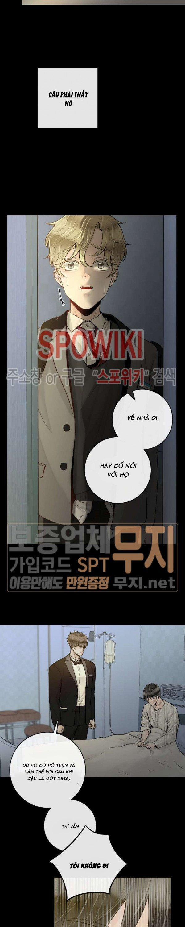 Alpha Mate 15 trang 6