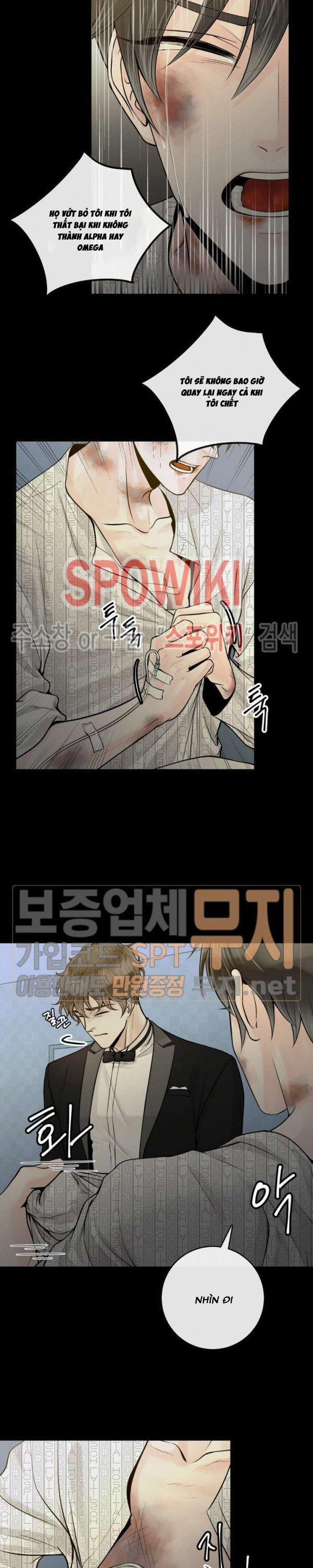 Alpha Mate 15 trang 7