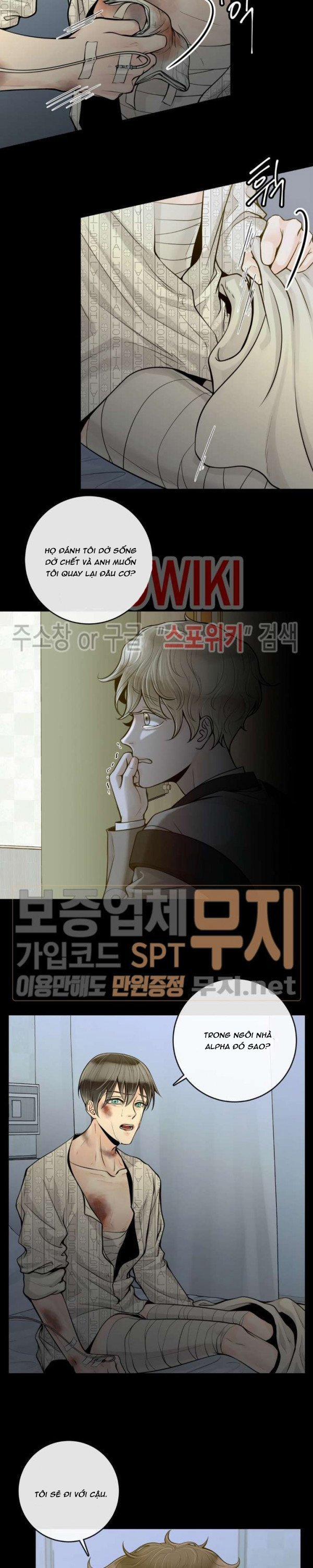 Alpha Mate 15 trang 8