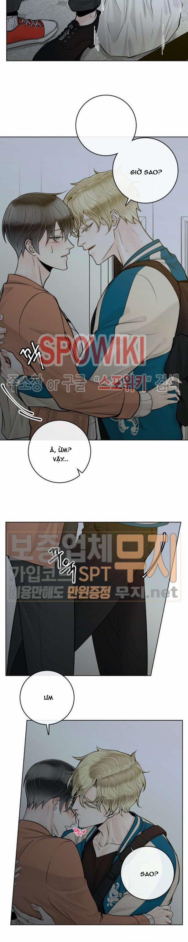 Alpha Mate 16 trang 16