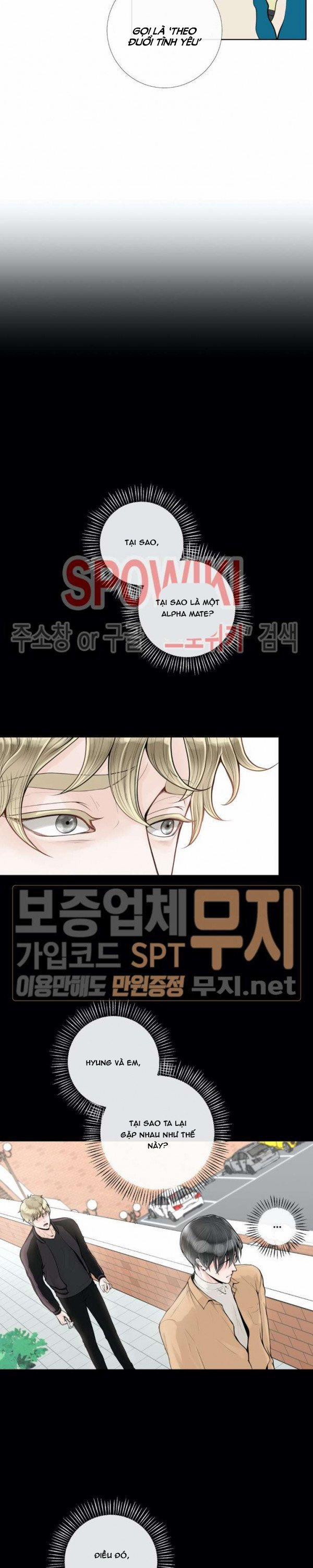 Alpha Mate 16 trang 7