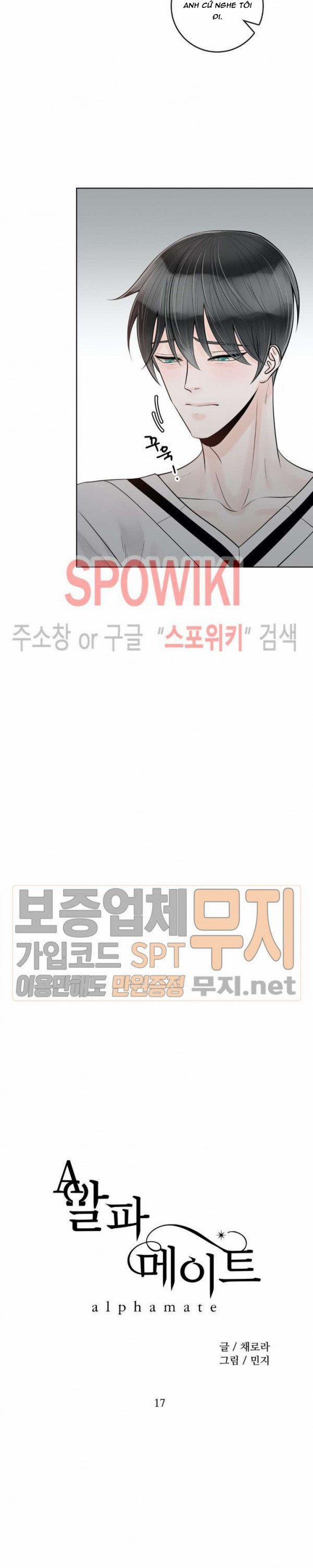 Alpha Mate 17 trang 13