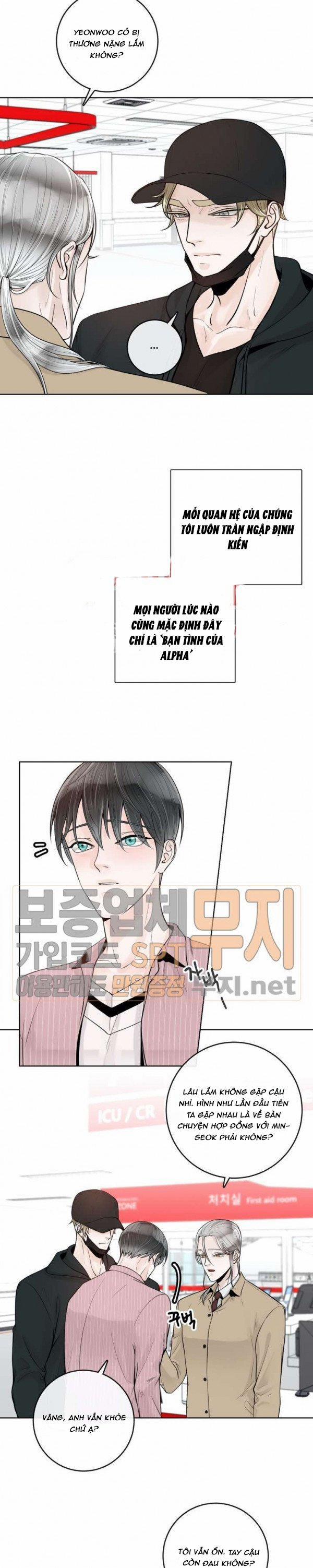 Alpha Mate 17 trang 19