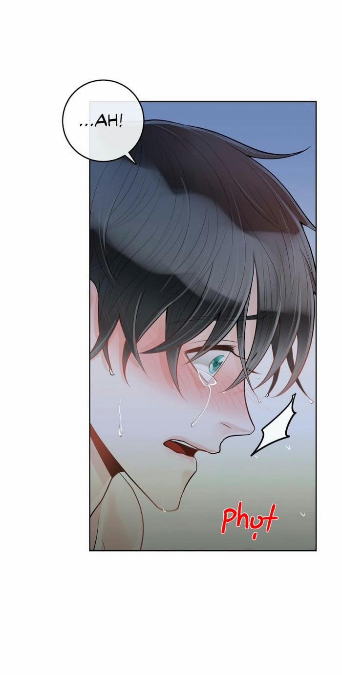 Alpha Mate 19 trang 11