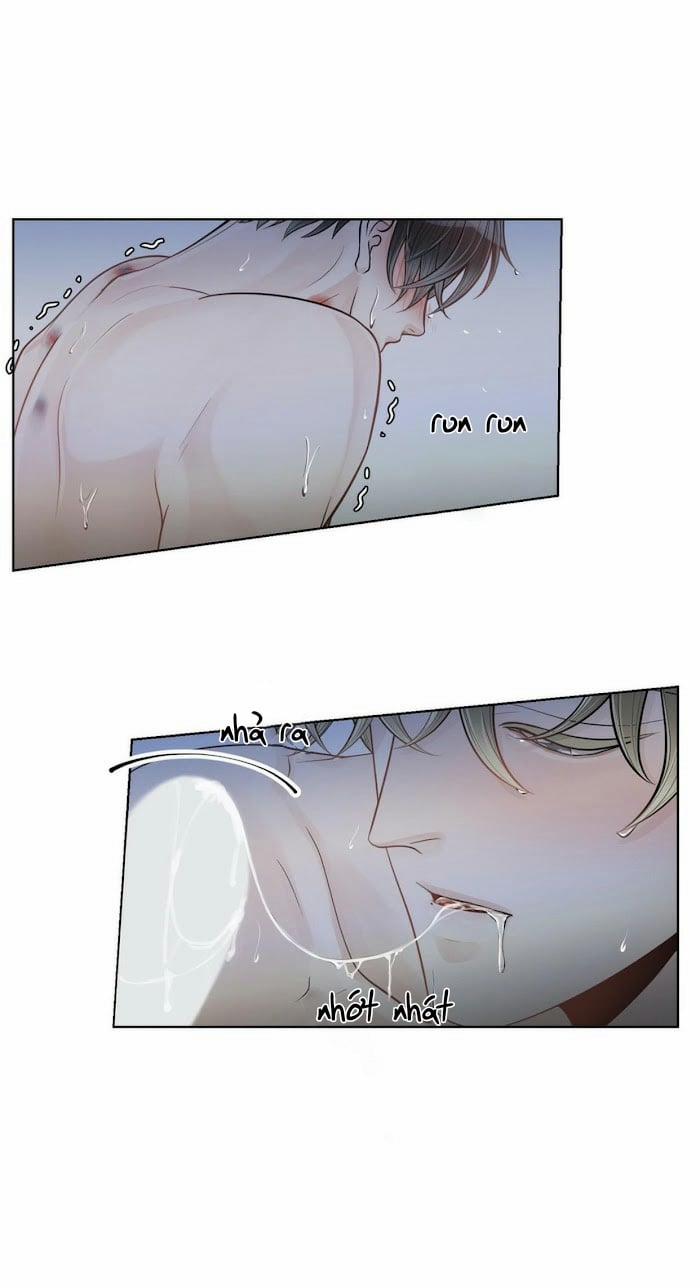 Alpha Mate 19 trang 12