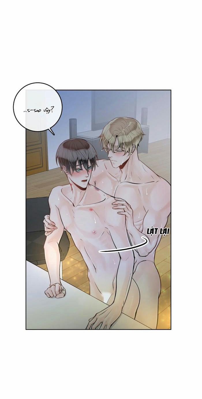 Alpha Mate 19 trang 15