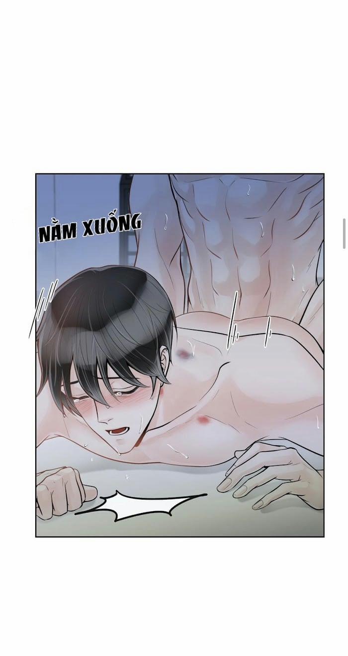 Alpha Mate 19 trang 21