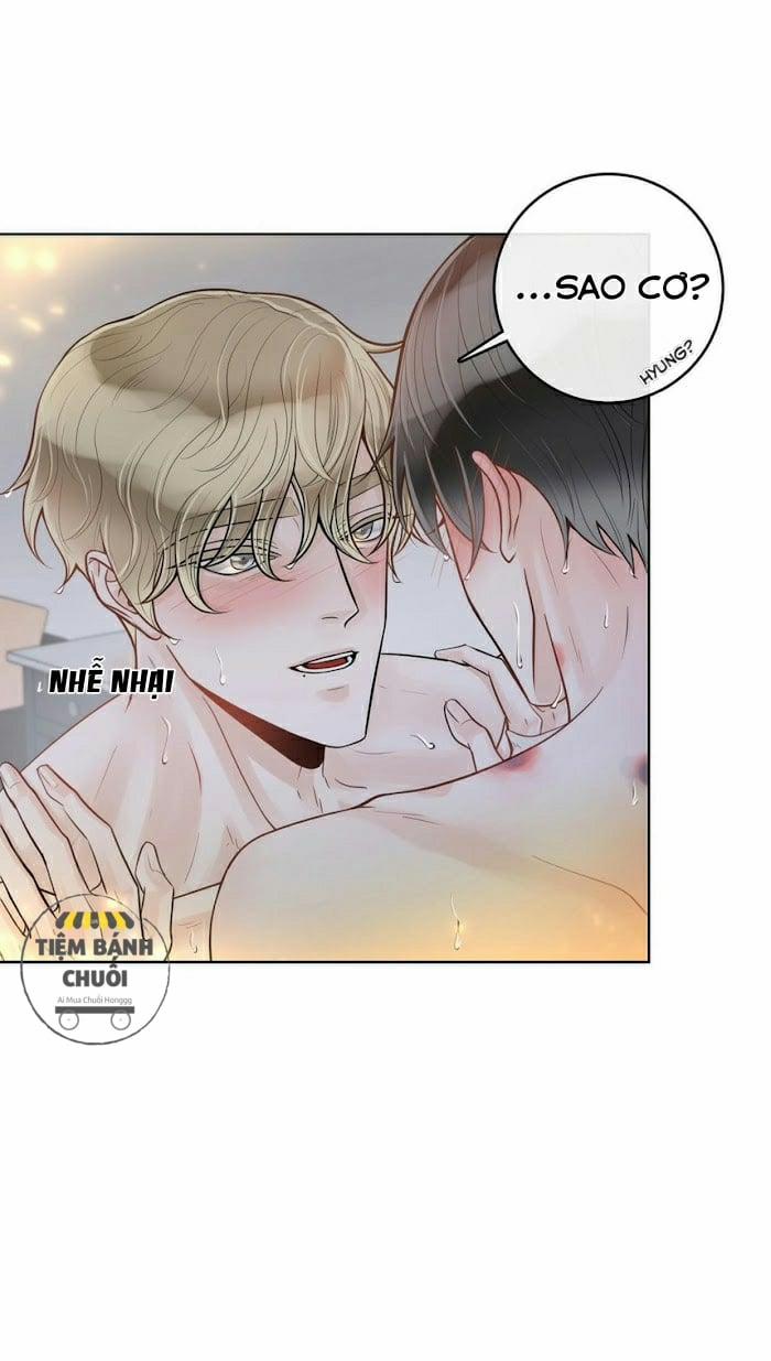 Alpha Mate 19 trang 43