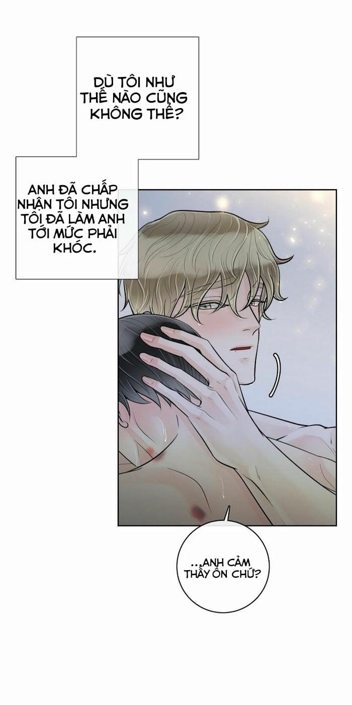 Alpha Mate 20 trang 22