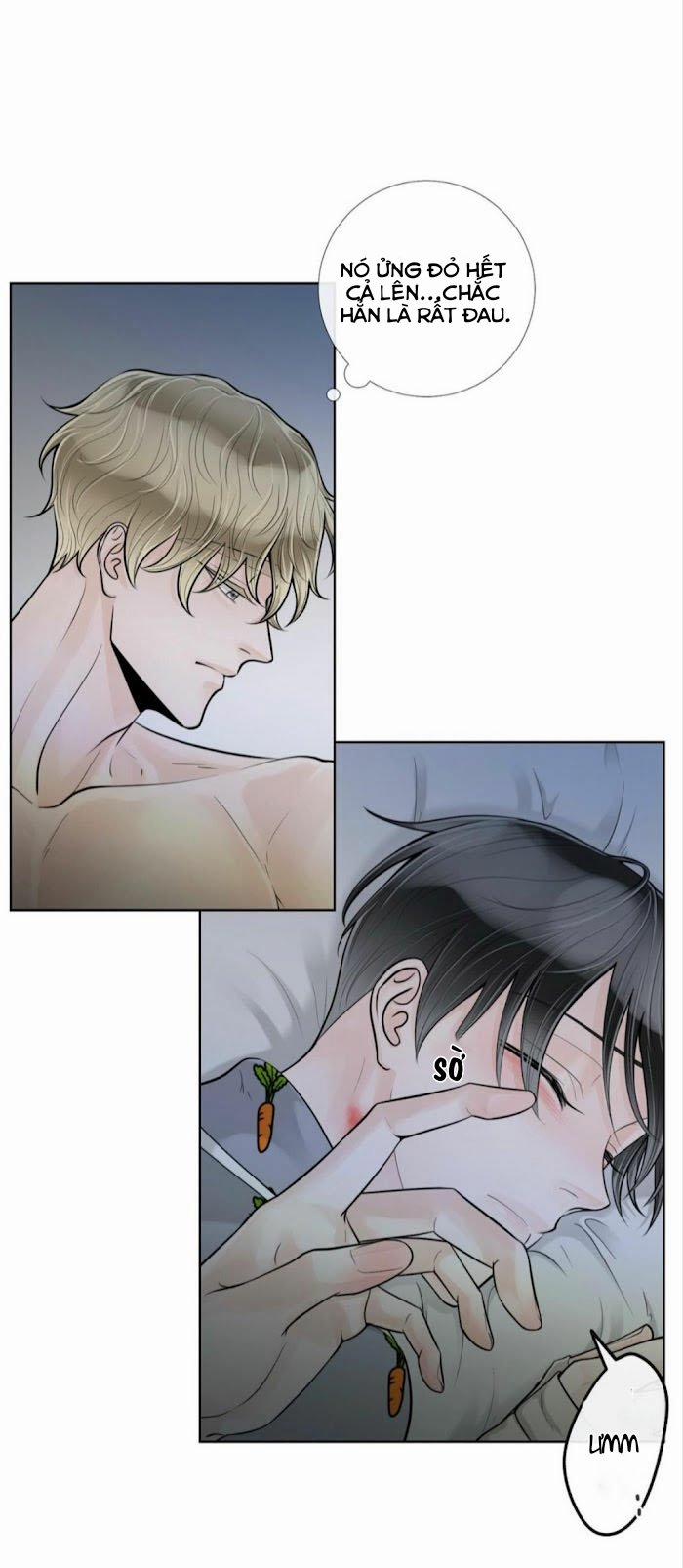 Alpha Mate 20 trang 27