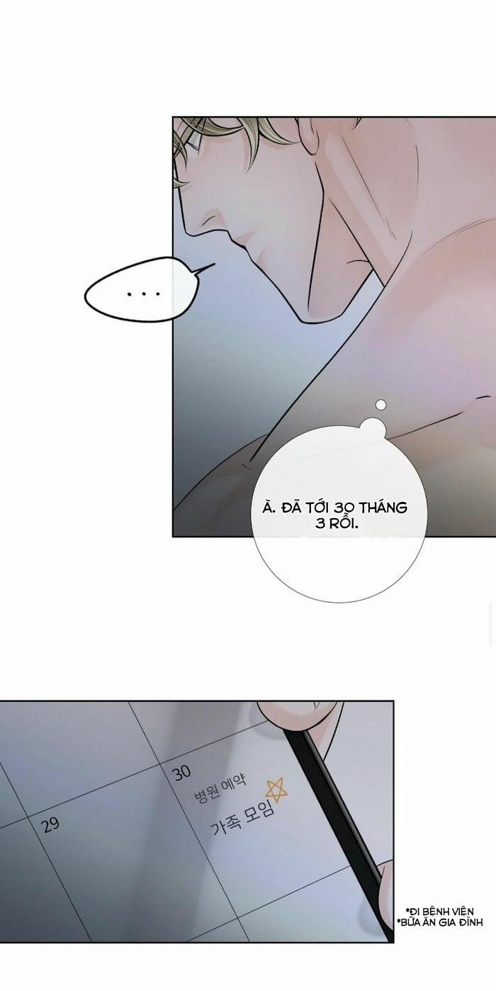 Alpha Mate 20 trang 33