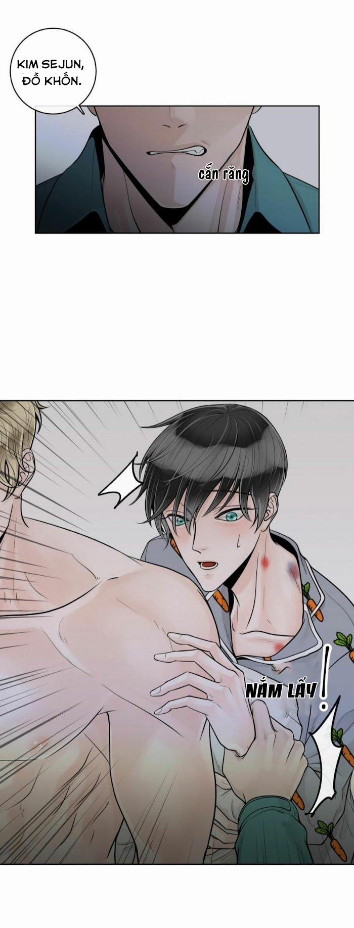 Alpha Mate 20 trang 47